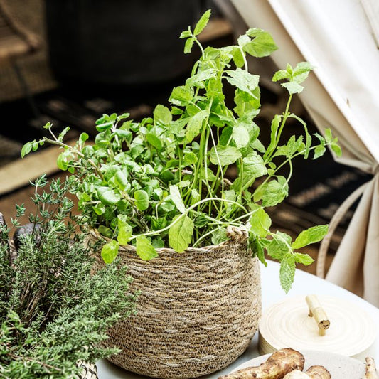 House Doctor Korb Hang mit dekorativem Ambiente