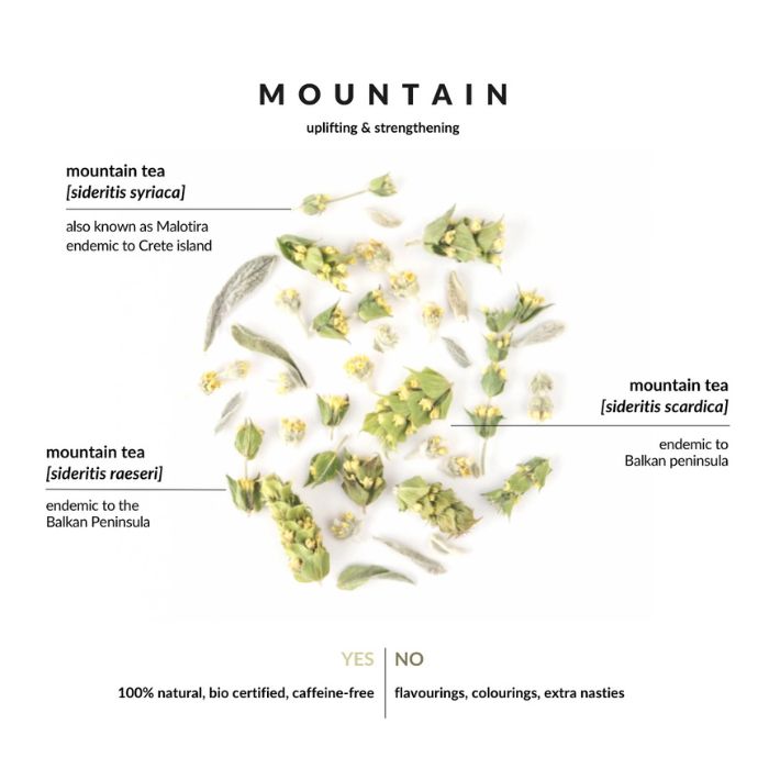 Nahaufnahme der Kräuterblätter und Blüten der Mountain Teemischung