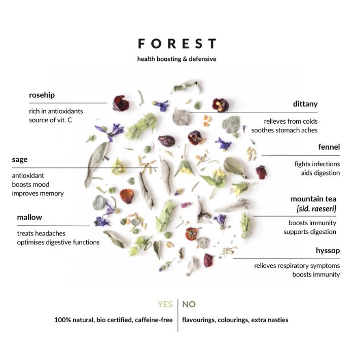 Nahaufnahme der Kräuterblätter und Blüten der Wald Teemischung
