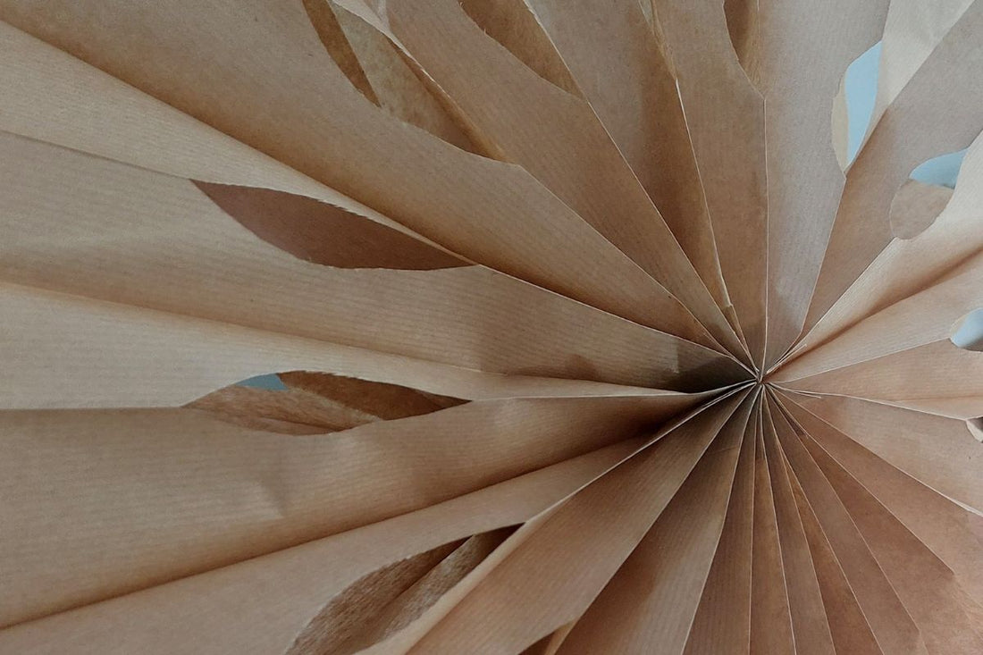 DIY Weihnachtsstern - aus Butterbrottüten basteln