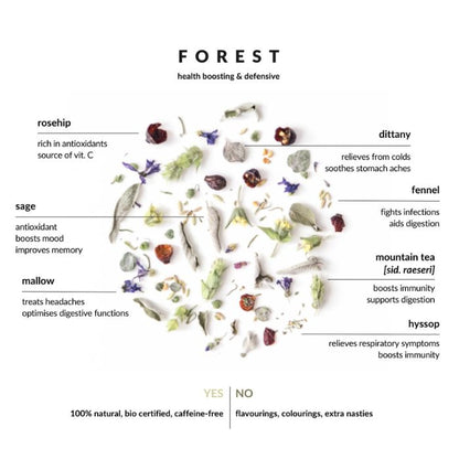 Nahaufnahme der Kräuterblätter und Blüten der Wald Teemischung